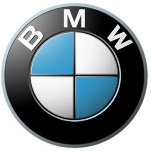 Задний левый амортизатор BMW X5 E53 (2000-2006)